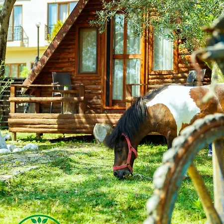 Kazdaglari Ida Natura Bungalov Hotel Hotel