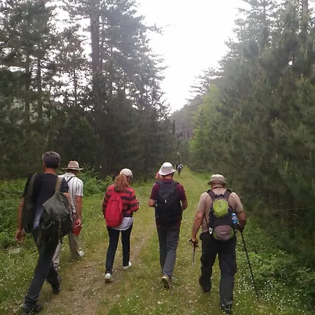 Kazdaglari Ida Natura Bungalov Hotel Hotel