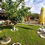 Kazdaglari Ida Natura