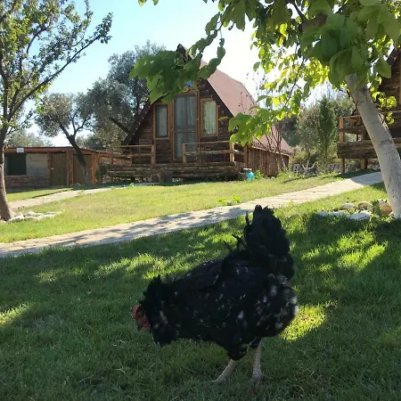 Kazdaglari Ida Natura מלון